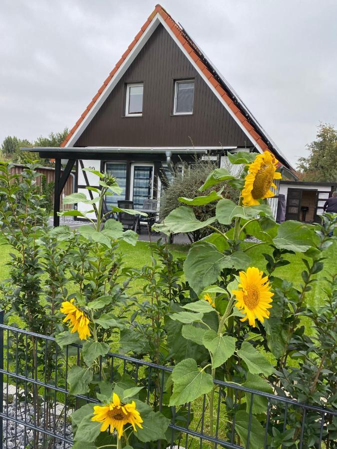 Ferienhaus Kiebitz Dorumer Neufeld Extérieur photo